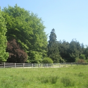 Newpark House