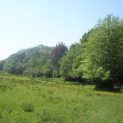 Newpark House